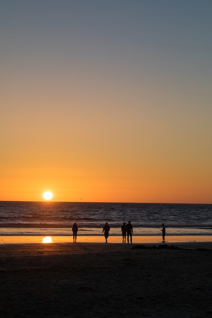 Free Photo five person walking on seashore during golden hour