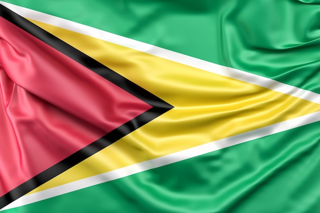 Flag of Guyana