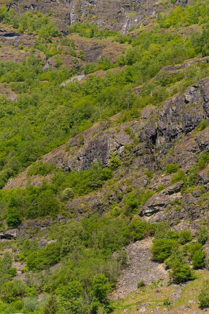 Flam Norway June 06 2023 Mountain