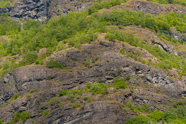 Free photo flam norway june 06 2023 mountain