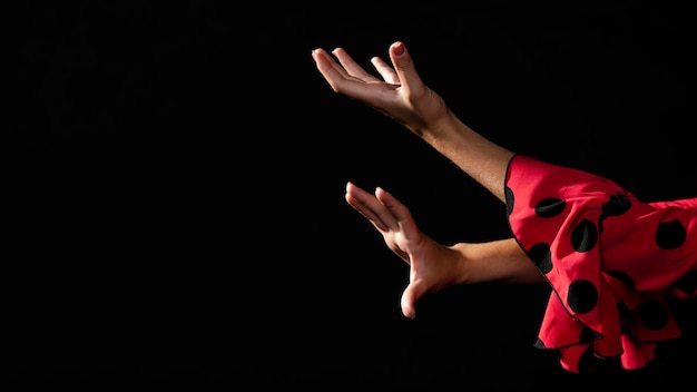 Free Photo flamenca hands moving with copy space