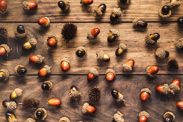 Flat lay acorns and pine cones on wooden background