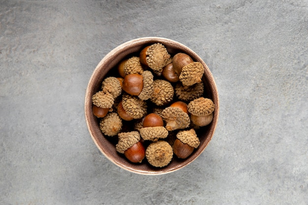 Free photo flat lay acorns still life