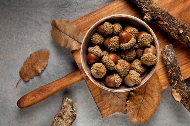 Flat lay acorns still life