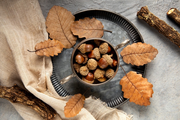 Flat lay acorns still life