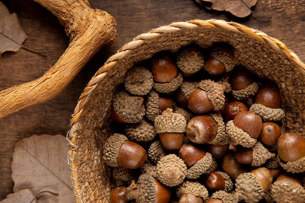 Free photo flat lay acorns still life