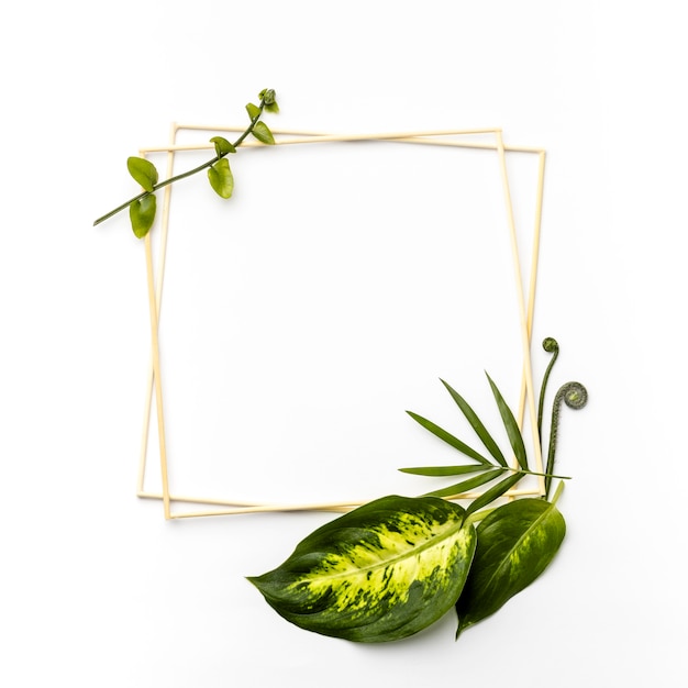 Free photo flat lay arrangement of green leaves with empty frames