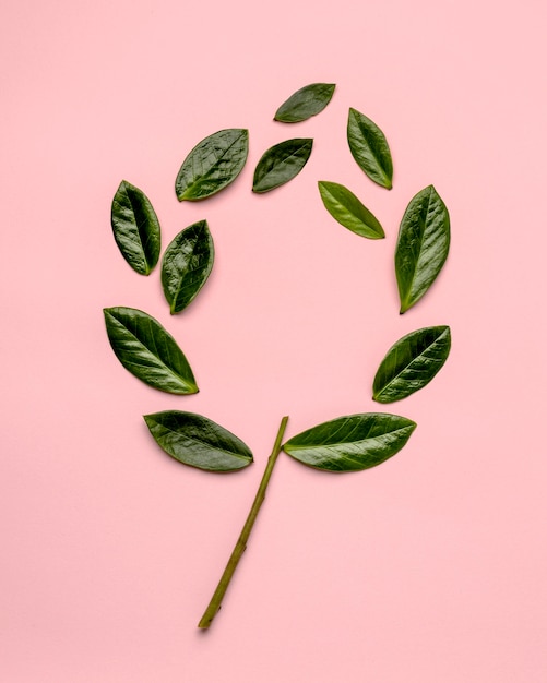 Flat lay arrangement of green leaves