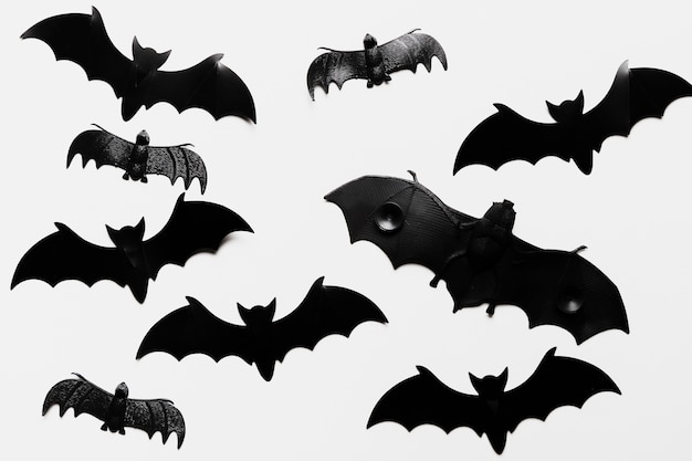 Free photo flat lay arrangement with bats