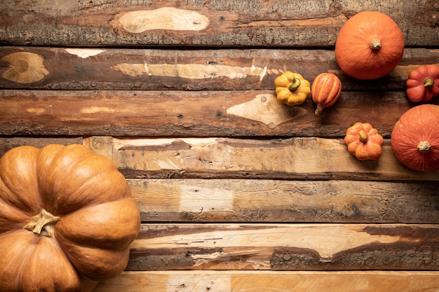 Flat lay arrangement with different sized pumpkins