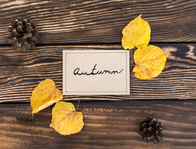 Free Photo flat lay arrangement with leaves and pine cones