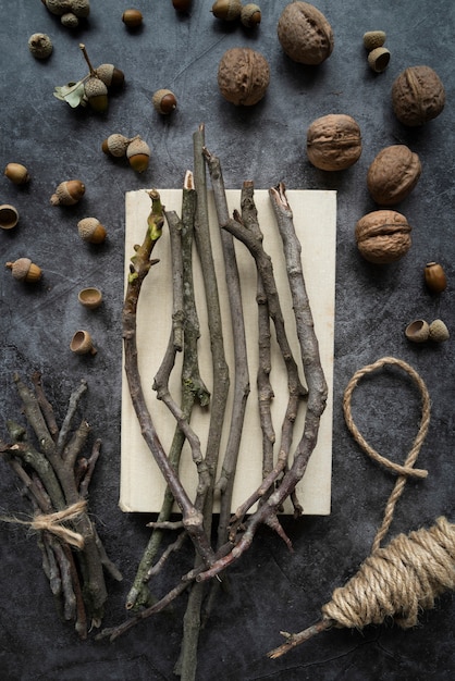 Flat lay arrangement with twigs and nuts