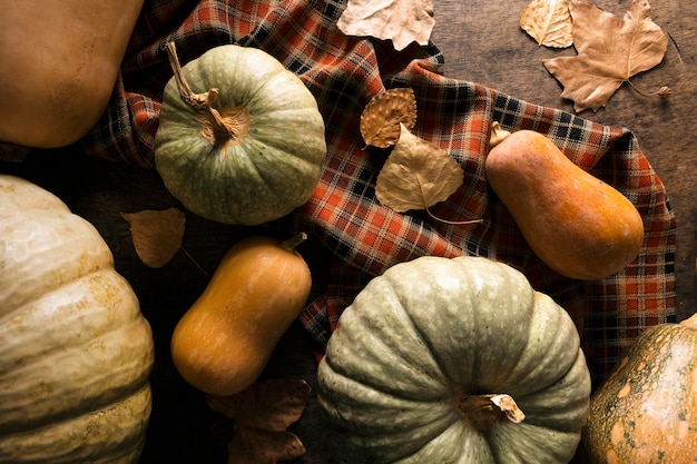 Free photo flat lay of assortment of autumn squash