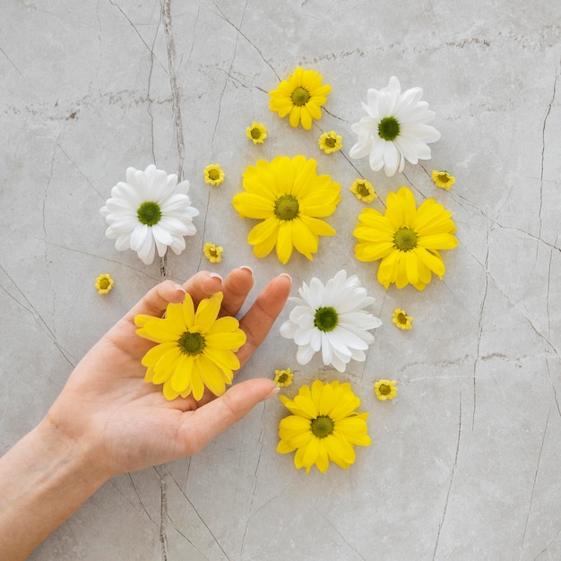 Free photo flat lay assortment of optimism concept with flowers