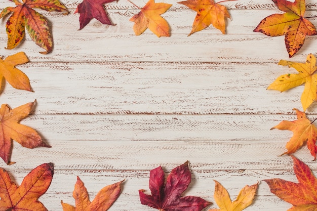 Free photo flat  lay autumn leaves frame