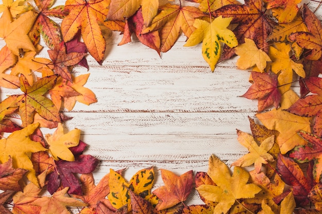 Flat  lay autumn leaves frame