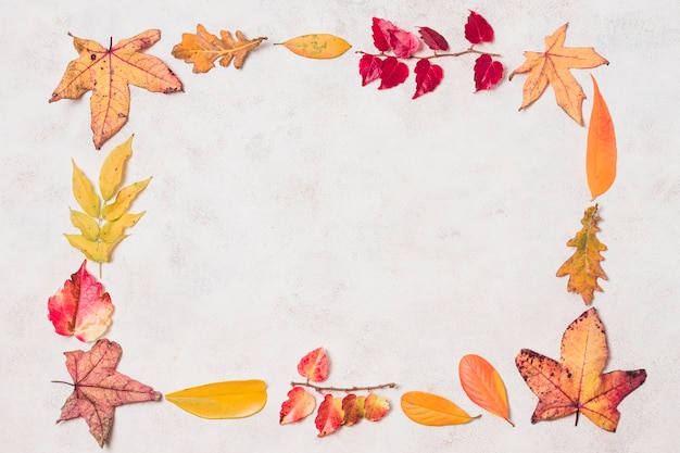 Free photo flat  lay autumn leaves frame