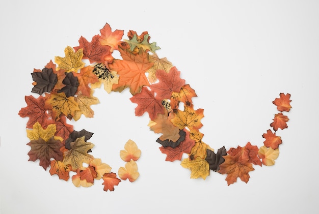 Free photo flat lay of autumn leaves placed in abstract pattern