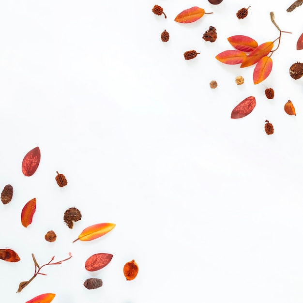 Flat lay autumn leaves with copy space