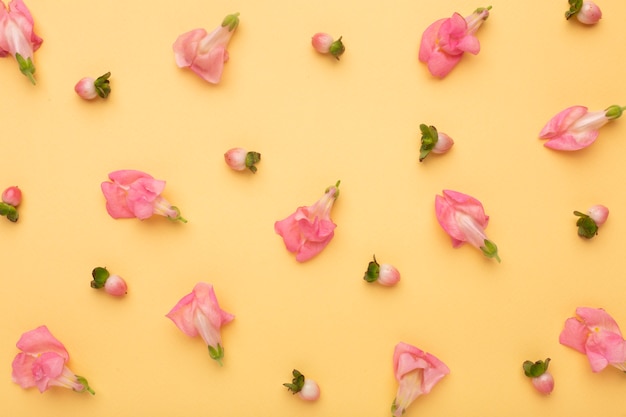 Flat lay beautiful composition of flowers