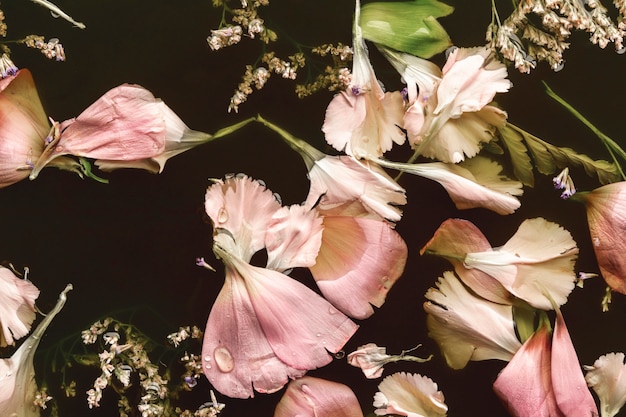 Free Photo flat lay beautiful pink flowers in black water