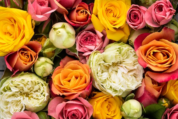 Flat lay of beautifully bloomed colorful flowers