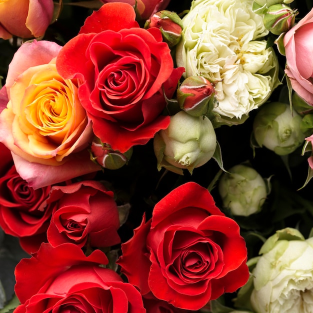 Free Photo flat lay of beautifully bloomed colorful rose flowers