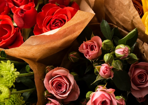 Flat lay of beautifully bloomed colorful rose flowers