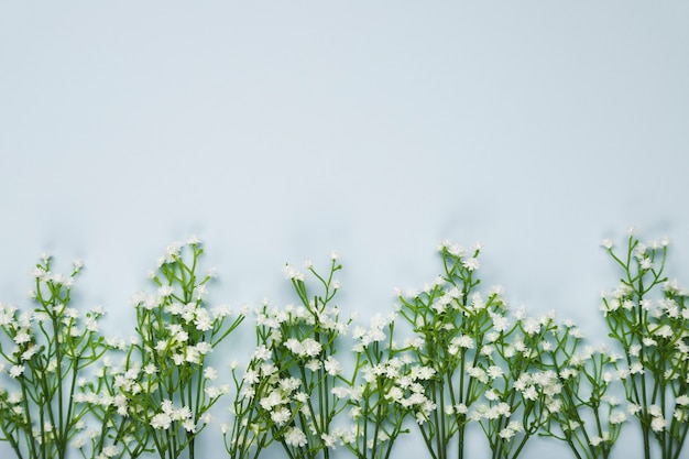 Flat lay blossom flowers with copy-space