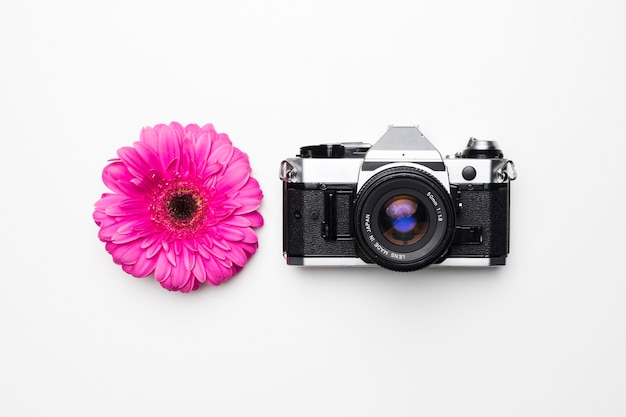 Flat lay of camera next to flower