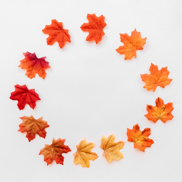 Free photo flat lay of circled autumn leaves