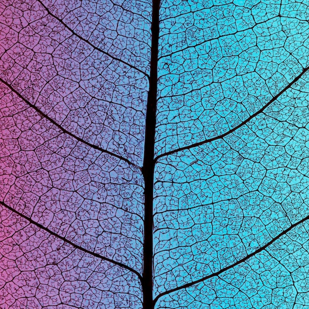 Free Photo flat lay of colored leaf texture