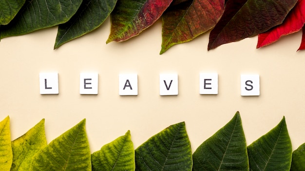 Free photo flat lay composition of leaves with leaves word on white cubes