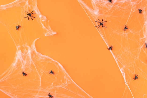 Flat lay creative halloween assortment