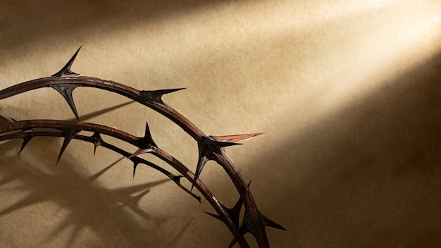 Free Photo flat lay crown of thorns still life