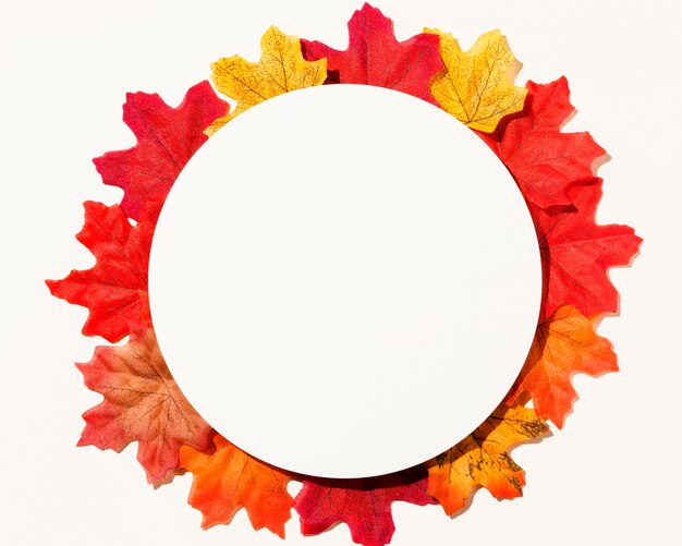 Flat lay of different autumn leaves with paper circle