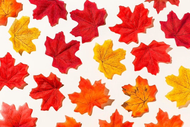 Flat lay of different autumn leaves