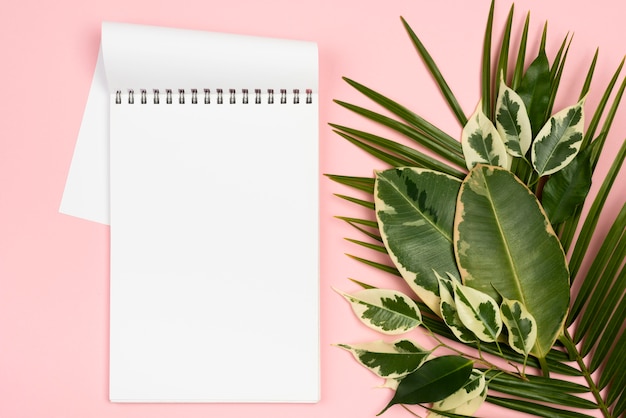 Flat lay of different plant leaves with notebook