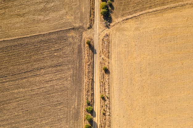 Free photo flat lay dried autumn crops taken by drone