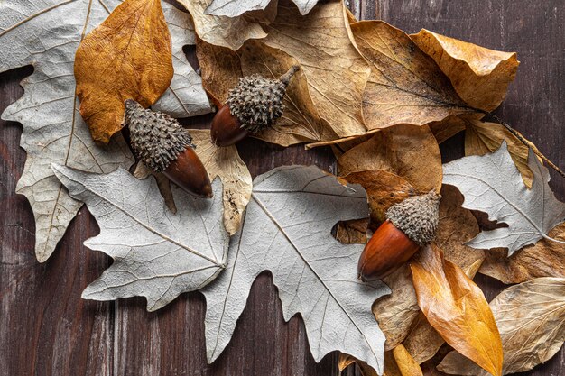 Flat lay dry leaves