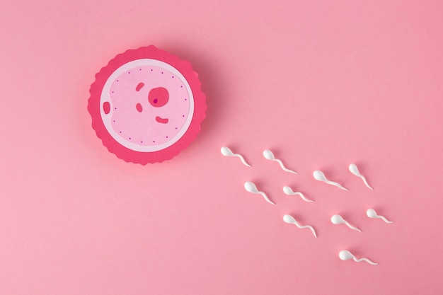 Flat lay fertility concept with pink background