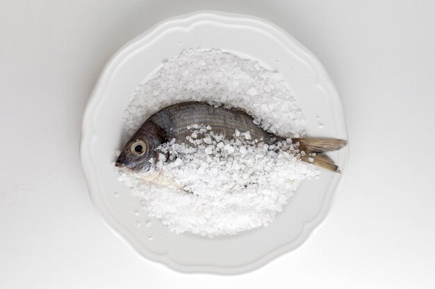 Flat lay of fish on plate with salt