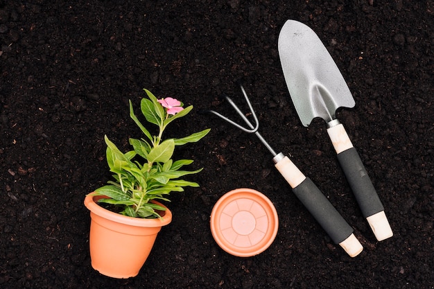 Flat lay flower pot on soil background