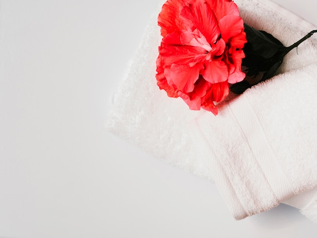 Flat lay flower on top of towels