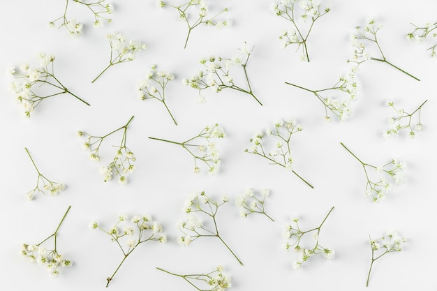 Free Photo flat lay flowers collection on table