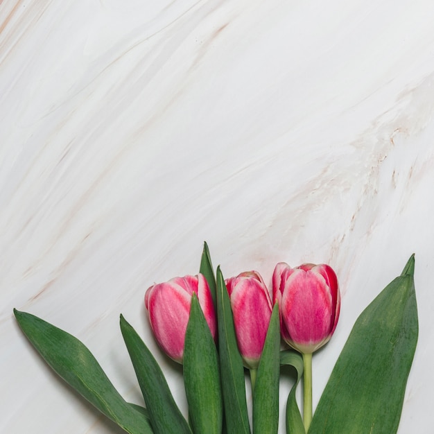 Flat lay of flowers with copyspace