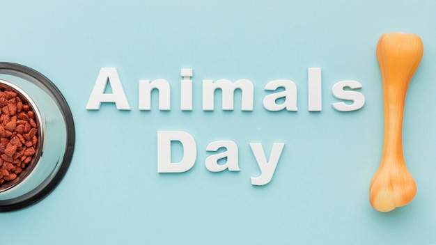 Free Photo flat lay of food bowl with bone for animal day