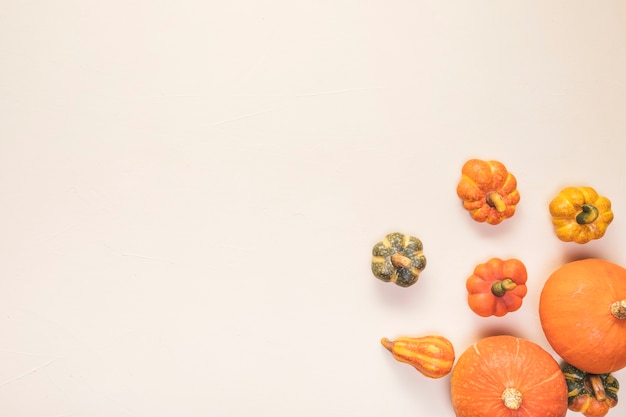 Flat lay food frame with pumpkins