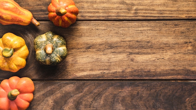 Free photo flat lay food frame with small pumpkins