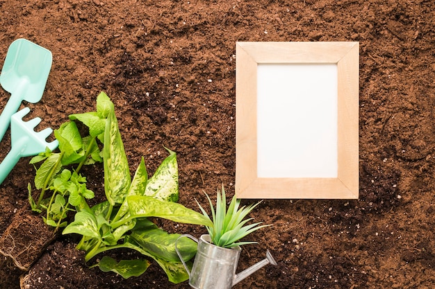 Free photo flat lay of frame and gardening tools with copyspace